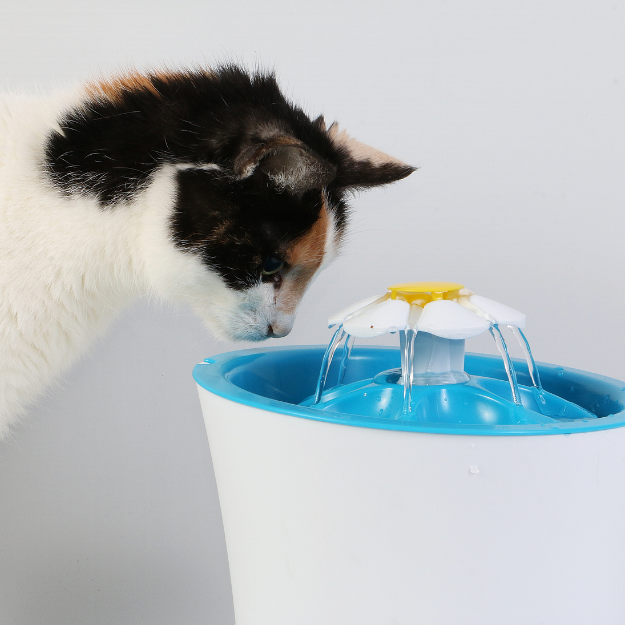 Feeding & Watering Supplies