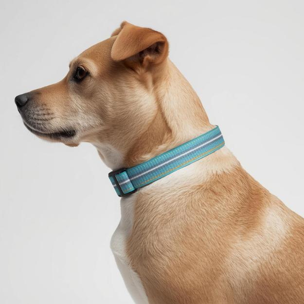 Flea & Tick Controls