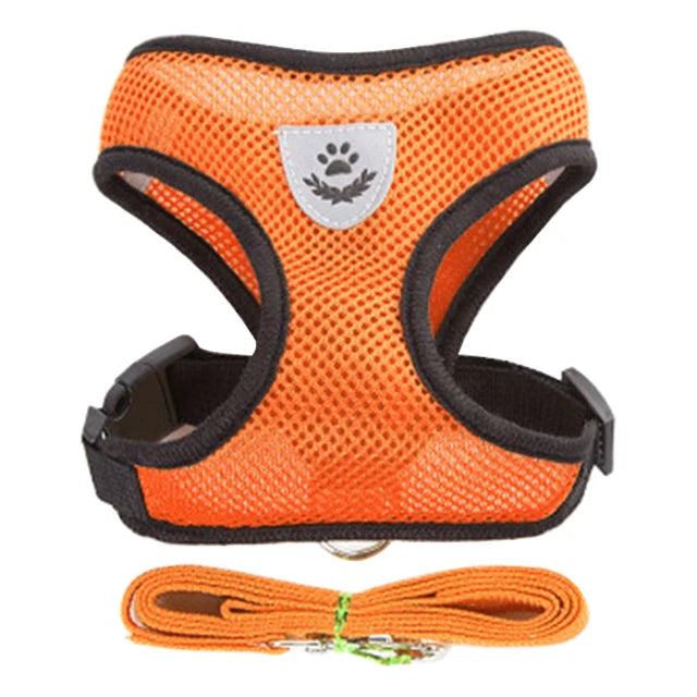 Soft Adjustable Cat Harness & Lead Set – Comfortable, Secure & Stylish (9 Colours)
