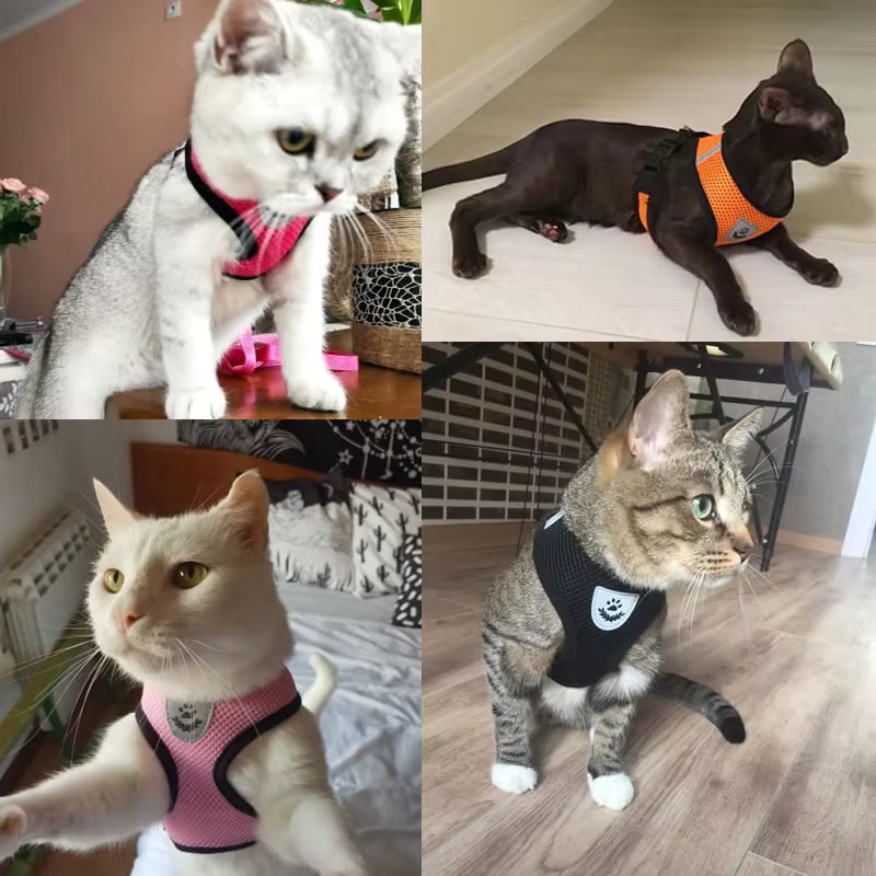 Soft Adjustable Cat Harness & Lead Set – Comfortable, Secure & Stylish (9 Colours)