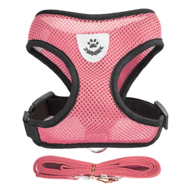 Soft Adjustable Cat Harness & Lead Set – Comfortable, Secure & Stylish (9 Colours)