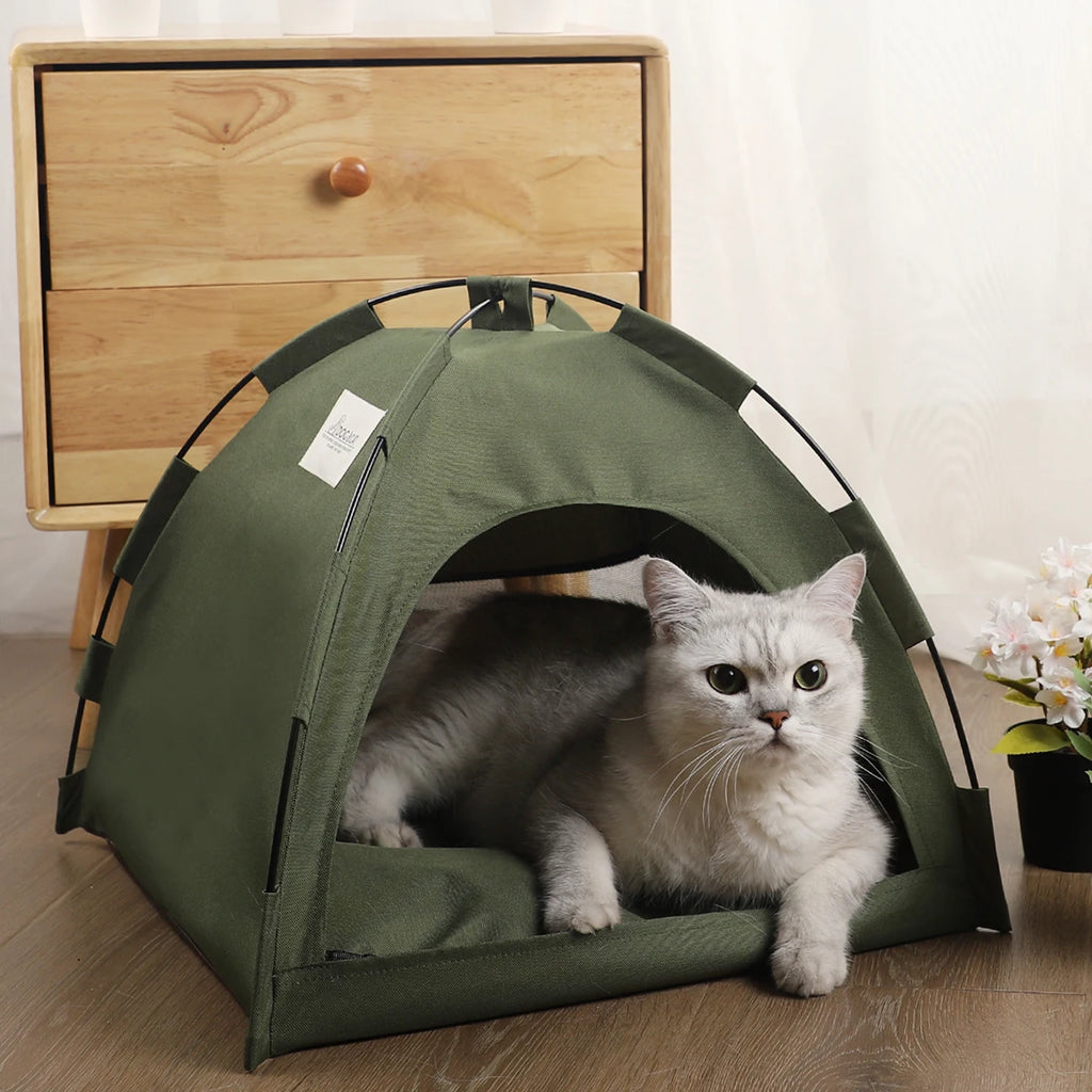 Tent bed for cats - Little house