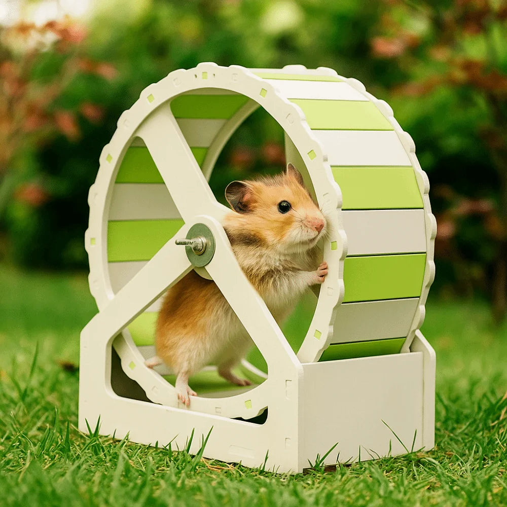Wooden Hamster Exercise Wheel