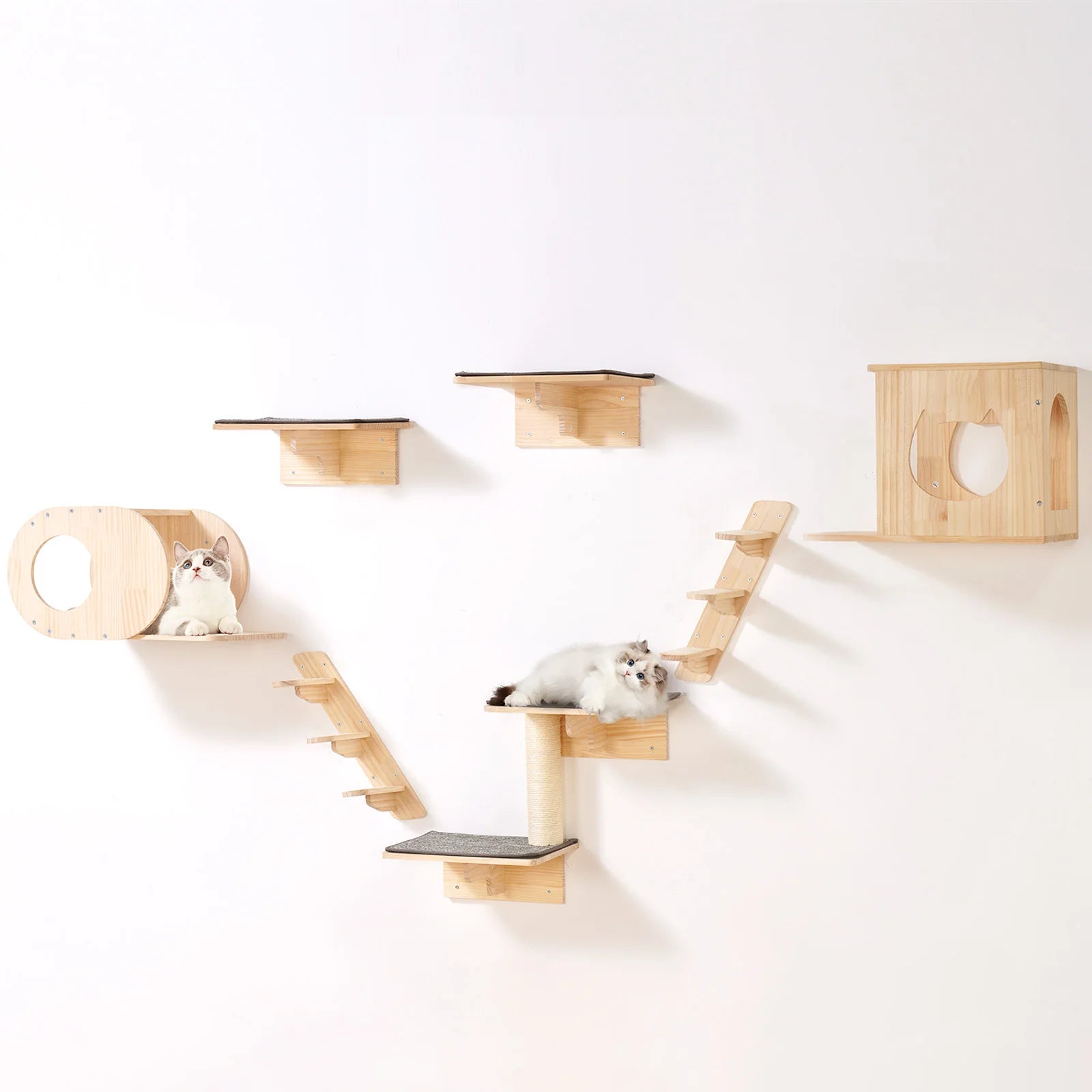 Modular Wooden Wall Climbing System for Indoor Cats