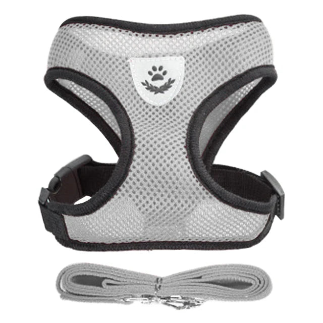 Soft Adjustable Cat Harness & Lead Set – Comfortable, Secure & Stylish (9 Colours)
