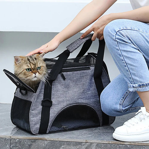 Comfort Mesh Pet Travel Carrier Bag for Cats & Small Dogs