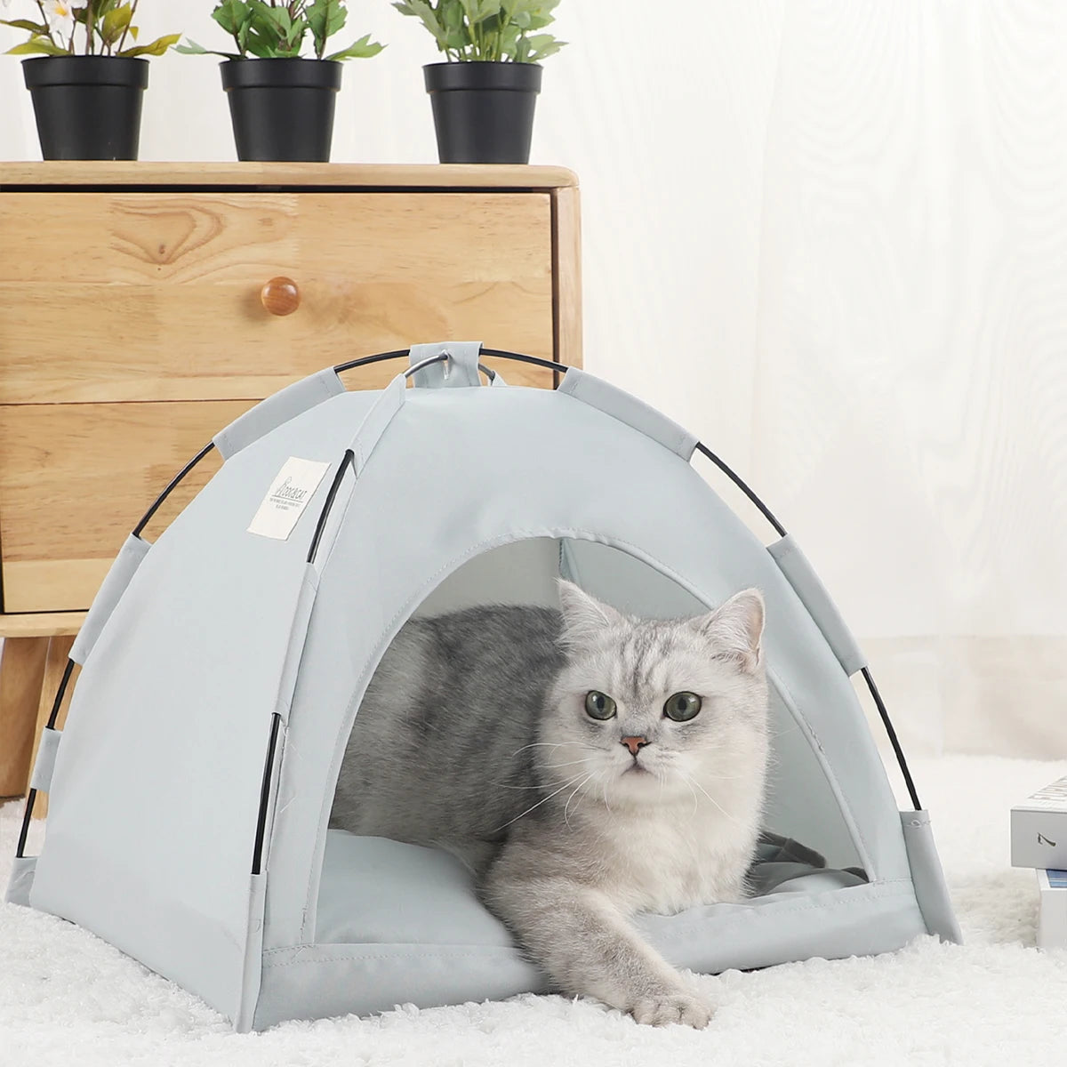 Tent bed for cats - Little house