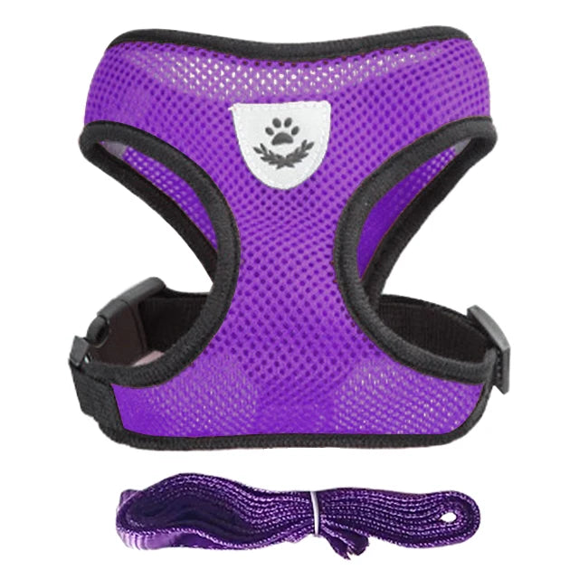Soft Adjustable Cat Harness & Lead Set – Comfortable, Secure & Stylish (9 Colours)