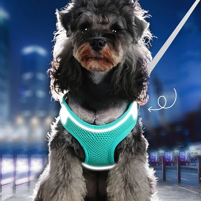 Premium Dog Walking Harness – Comfortable, Secure & Easy Control